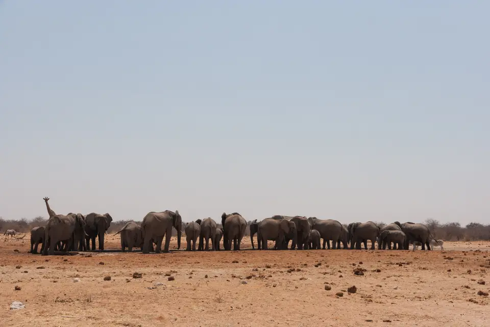 2016-Namibia(626von249).jpg