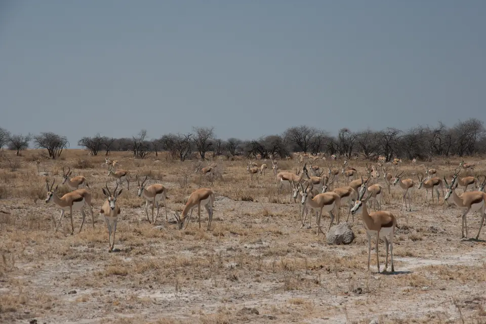2016-Namibia(628von249).jpg
