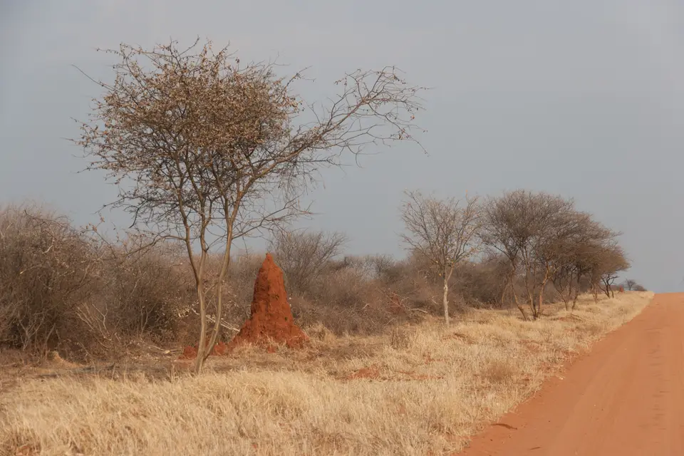 2016-Namibia(669von249).jpg