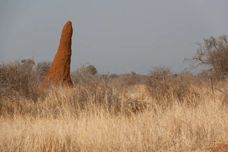 2016-Namibia(670von249).jpg