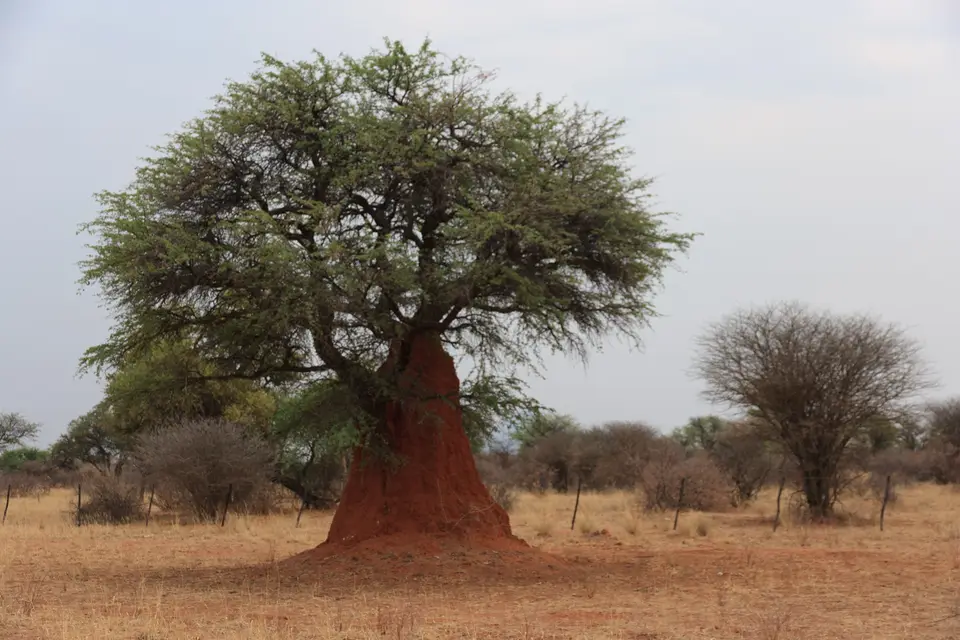 2016-Namibia(674von249).jpg