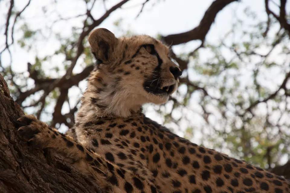 2016-Namibia(697von249).jpg