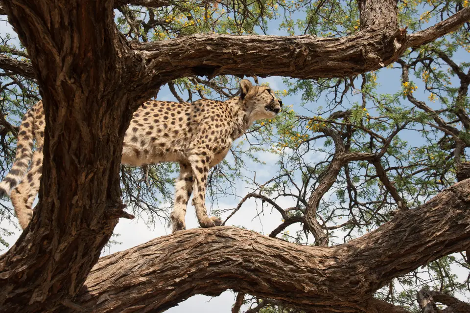 2016-Namibia(708von249).jpg