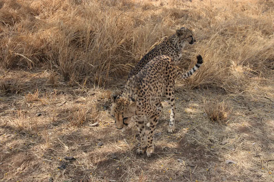 2016-Namibia(711von249).jpg