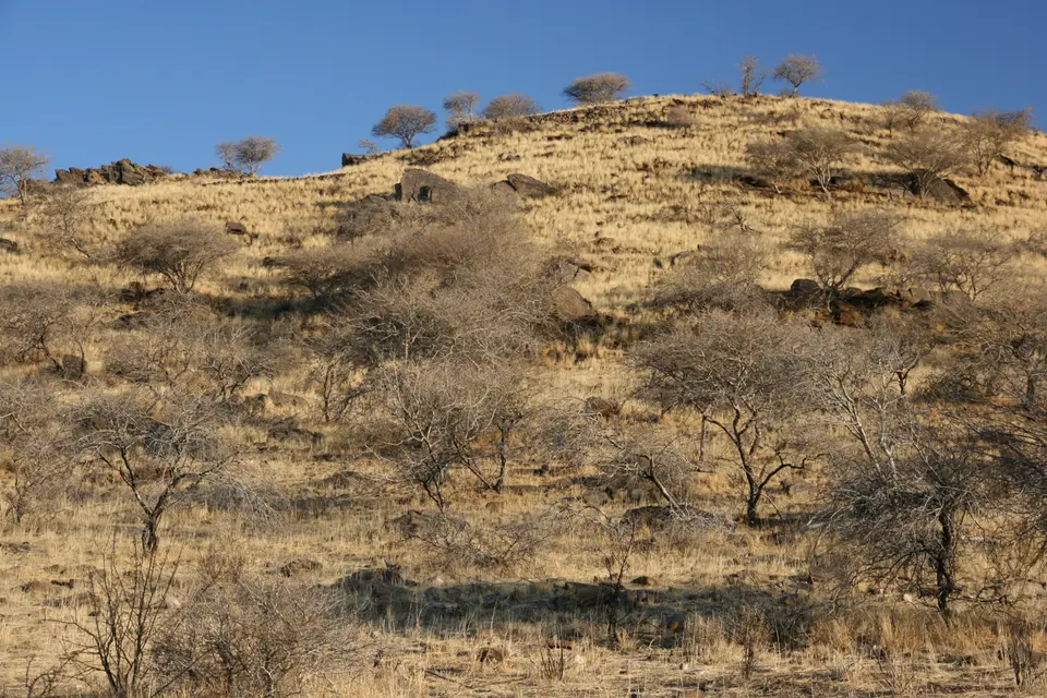 2016-Namibia(757von249).jpg