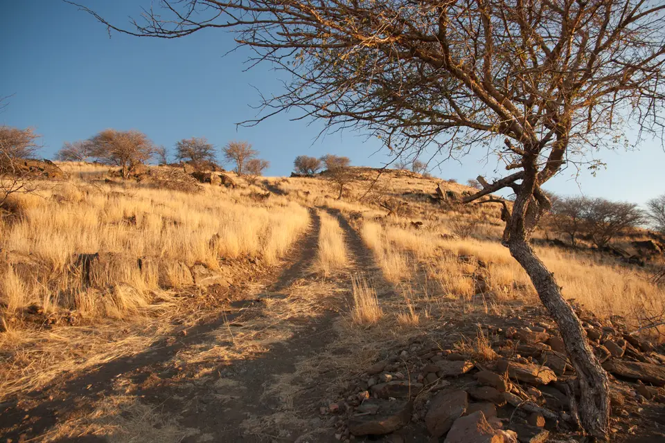 2016-Namibia(764von249).jpg