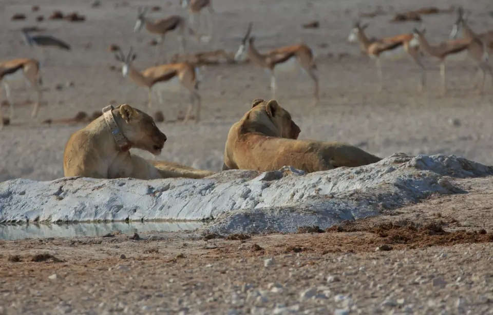 2016-Namibia-0008-2.jpg