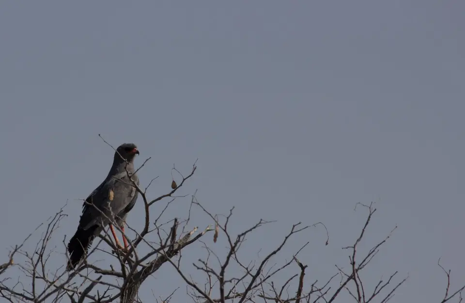 2016-Namibia-0034-2.jpg