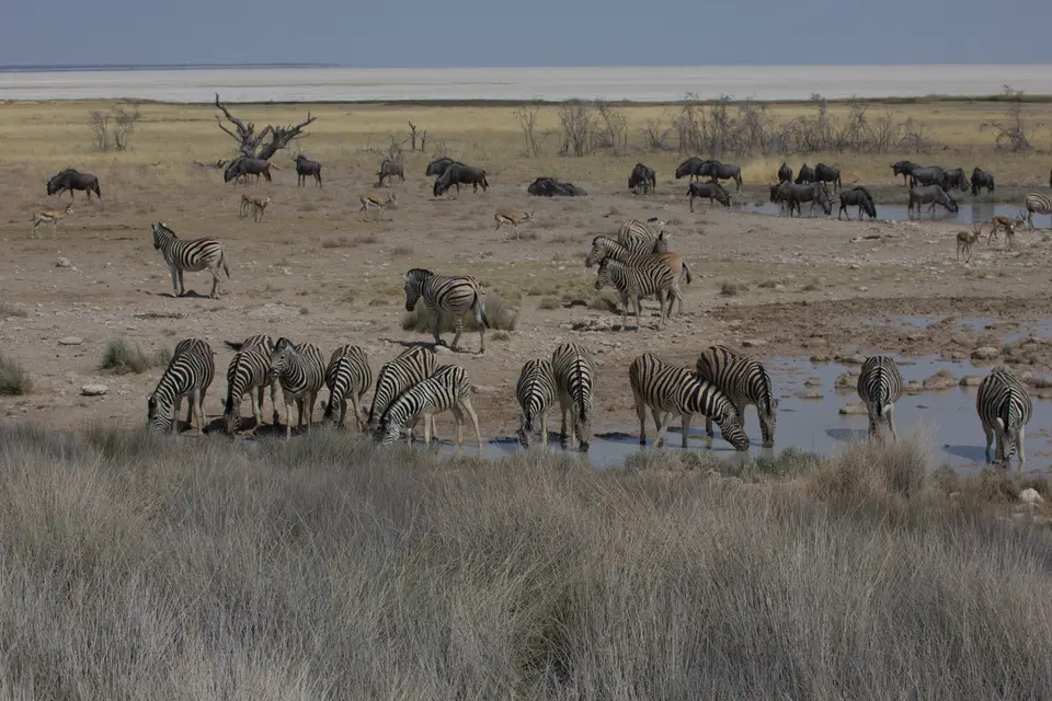 2016-Namibia-0056-2.jpg