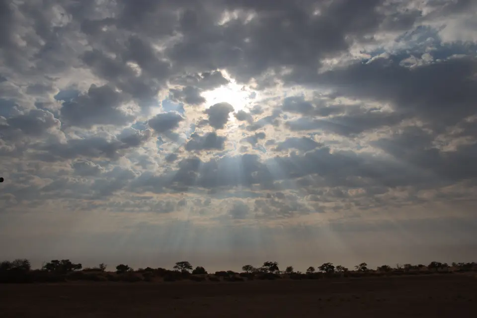 2016-Namibia-0056.jpg
