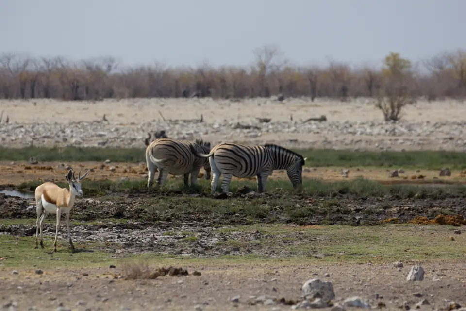 2016-Namibia-0089-2.jpg