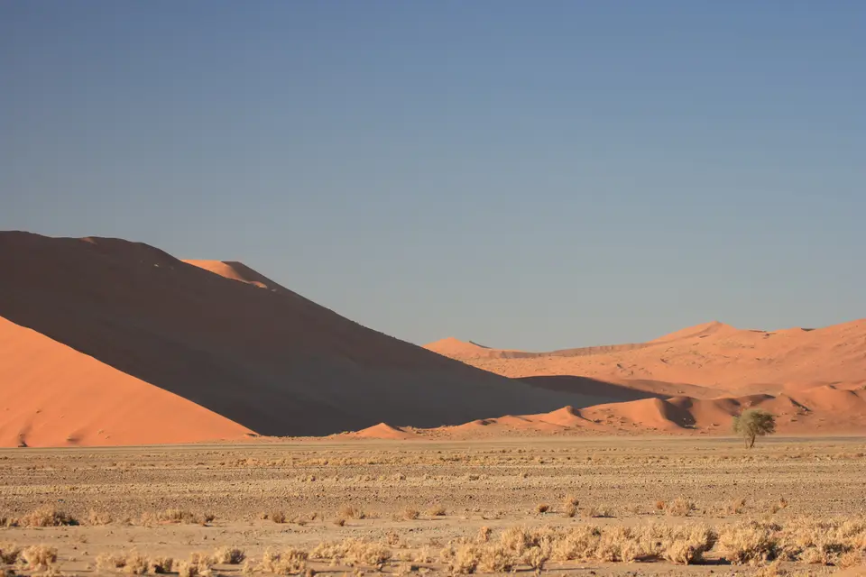2016-Namibia-0104.jpg