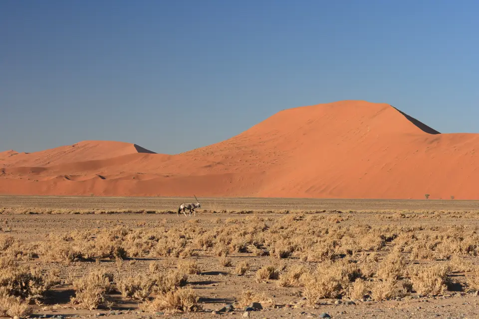 2016-Namibia-0109.jpg