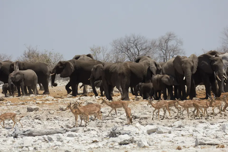 2016-Namibia-0128-2.jpg