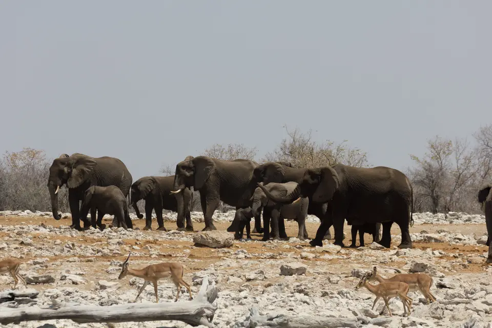 2016-Namibia-0131-2.jpg