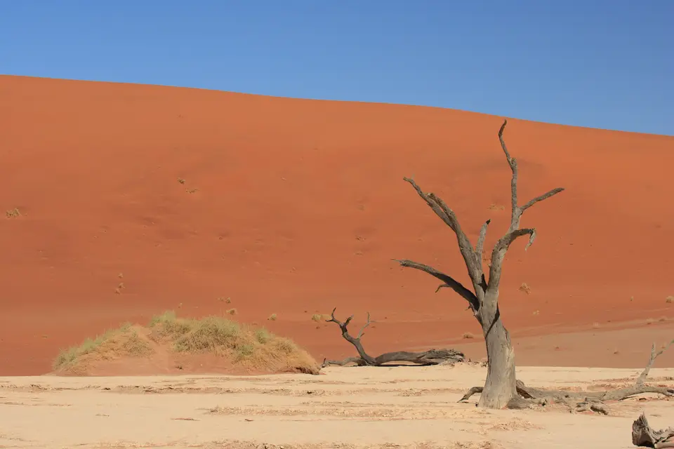 2016-Namibia-0131.jpg