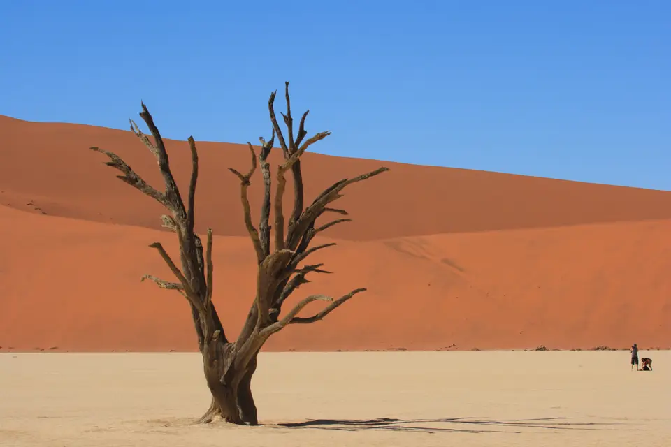 2016-Namibia-0133.jpg