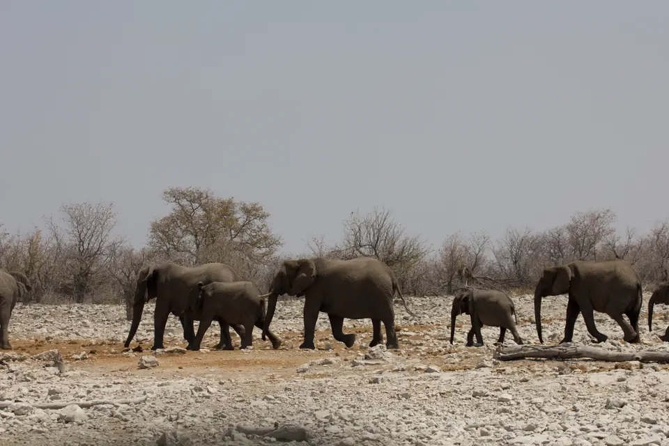 2016-Namibia-0137-2.jpg