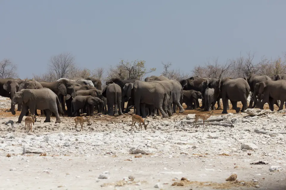 2016-Namibia-0138-2.jpg