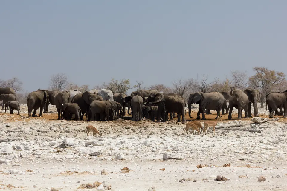 2016-Namibia-0145-2.jpg