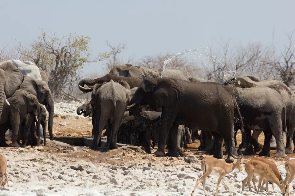 2016-Namibia-0148-2.jpg