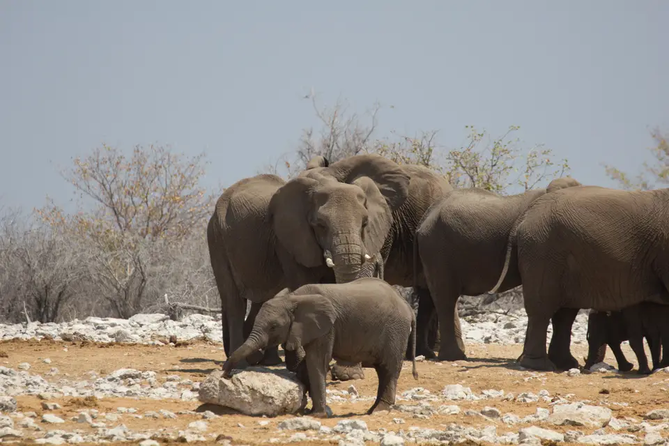 2016-Namibia-0158-2.jpg