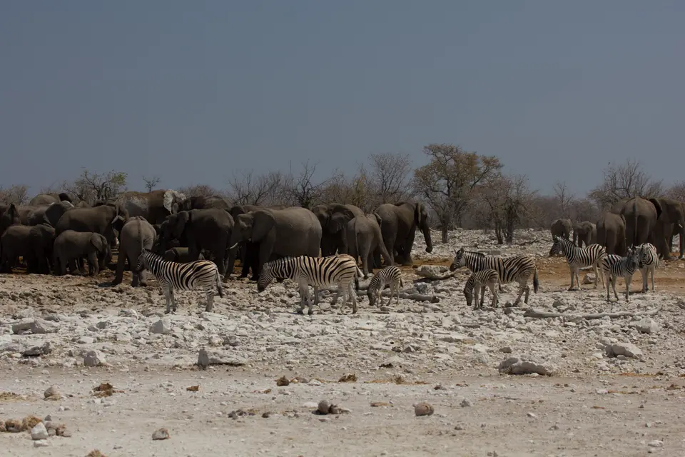 2016-Namibia-0176-2.jpg