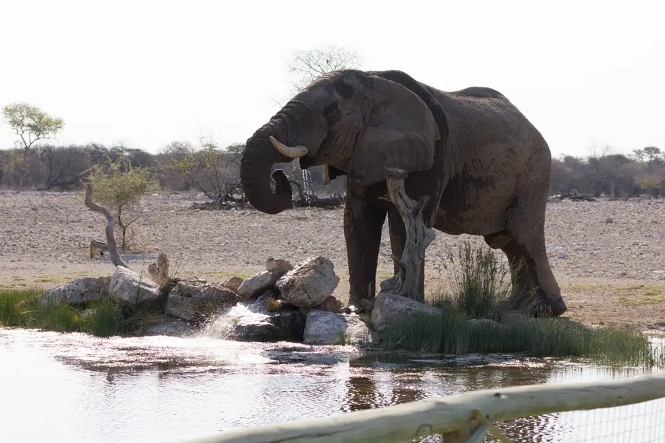 2016-Namibia-0193-2.jpg