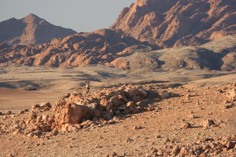2016-Namibia-0199.jpg
