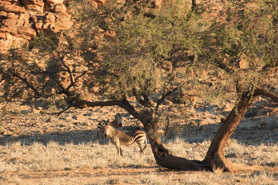 2016-Namibia-0213.jpg