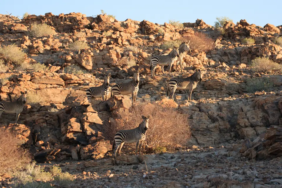 2016-Namibia-0217.jpg