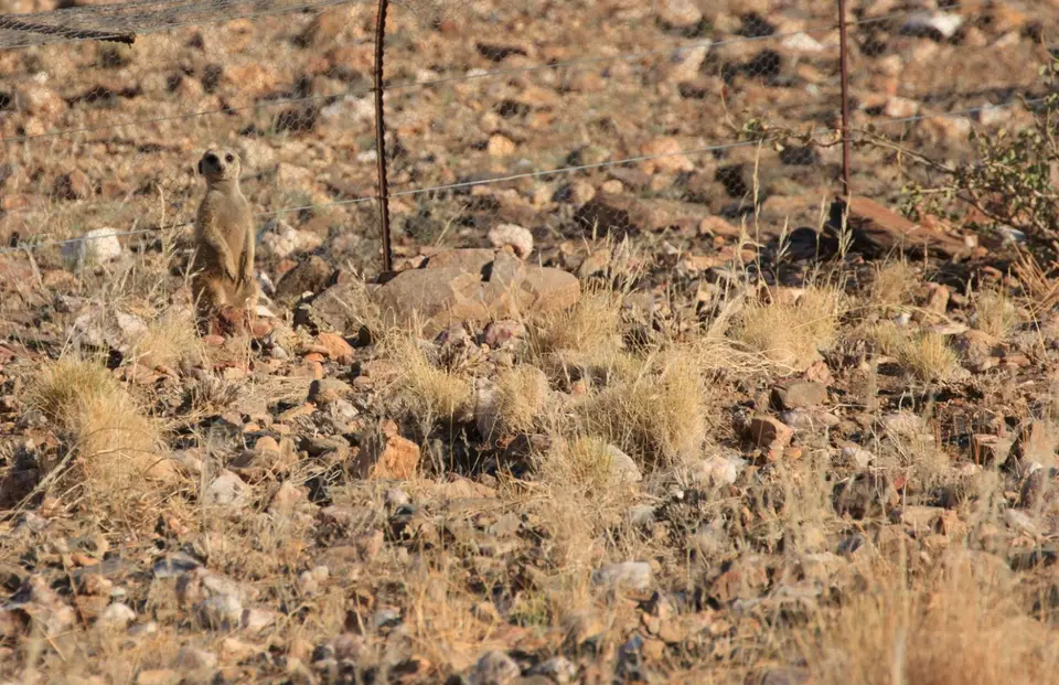 2016-Namibia-0247.jpg