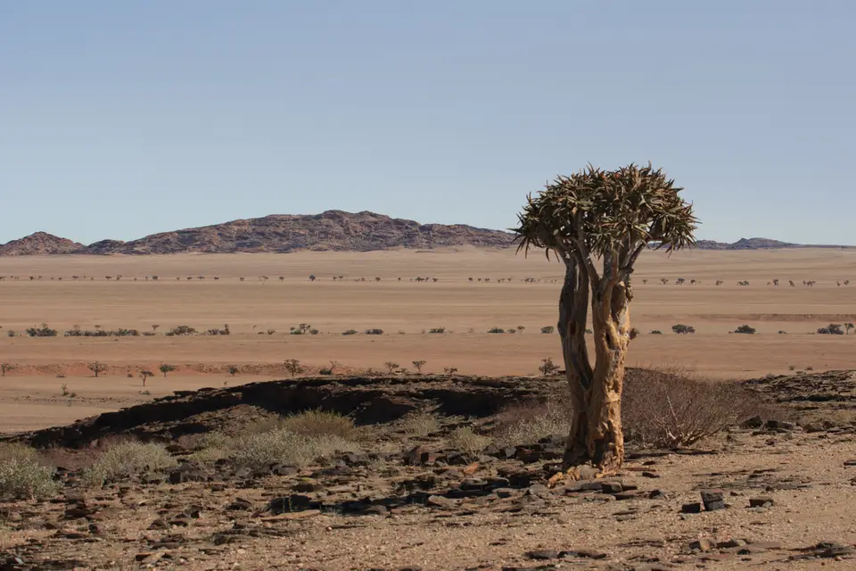 2016-Namibia-0270.jpg