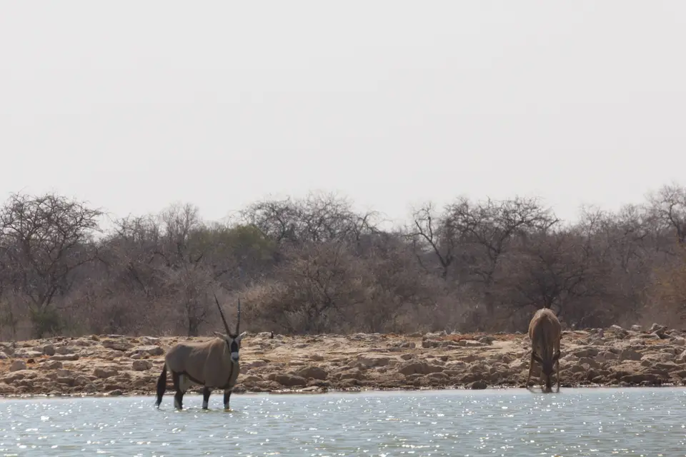 2016-Namibia-0272-2.jpg
