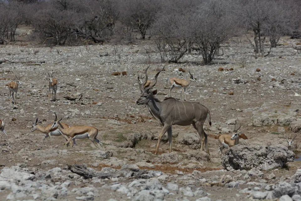 2016-Namibia-0290-2.jpg