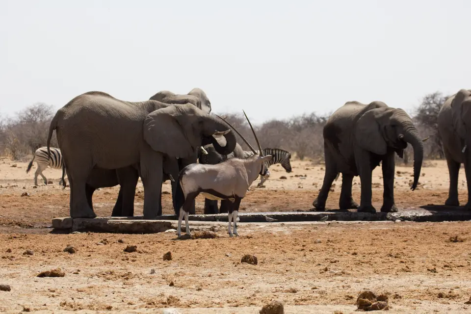 2016-Namibia-0306-2.jpg