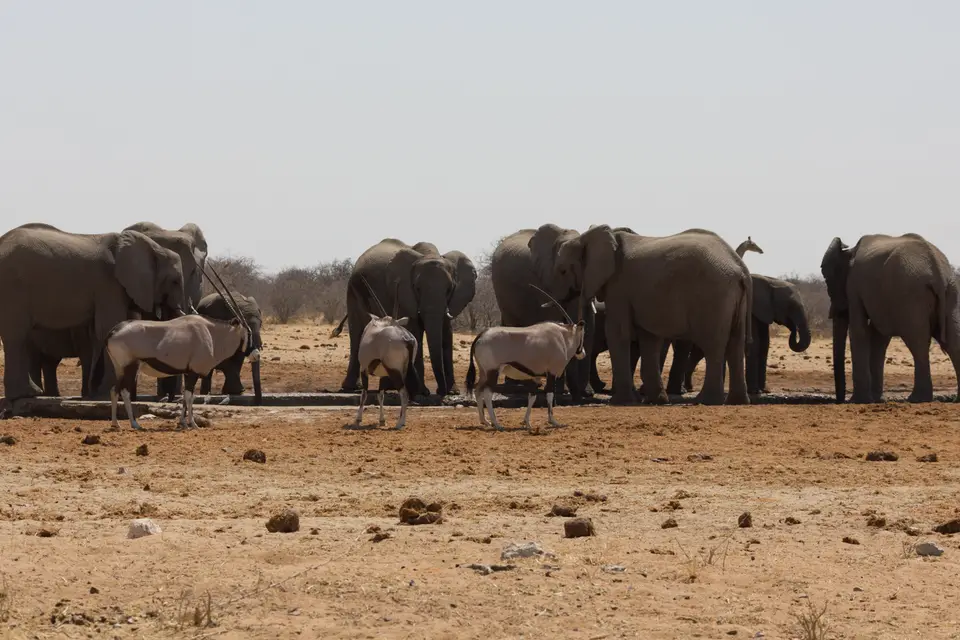 2016-Namibia-0316-2.jpg