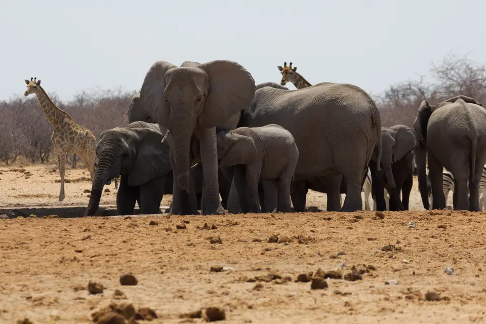2016-Namibia-0335-2.jpg