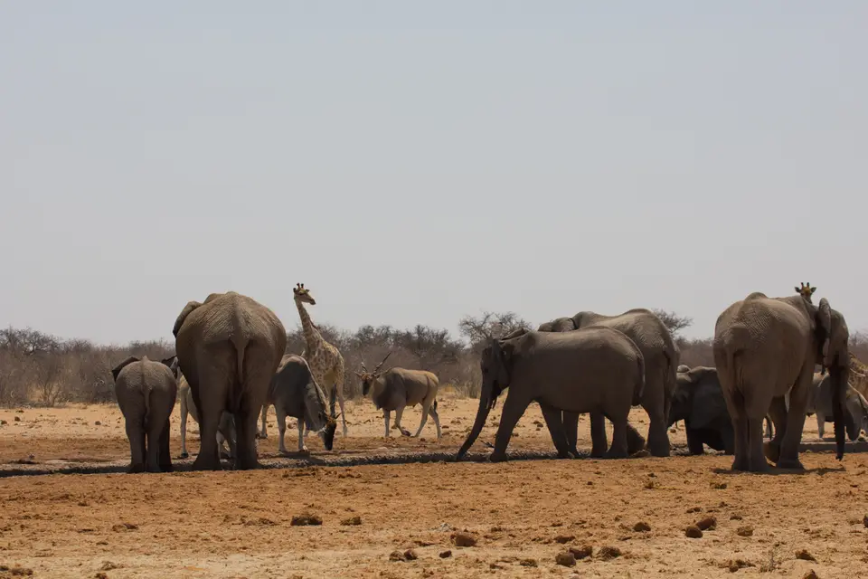 2016-Namibia-0340-2.jpg