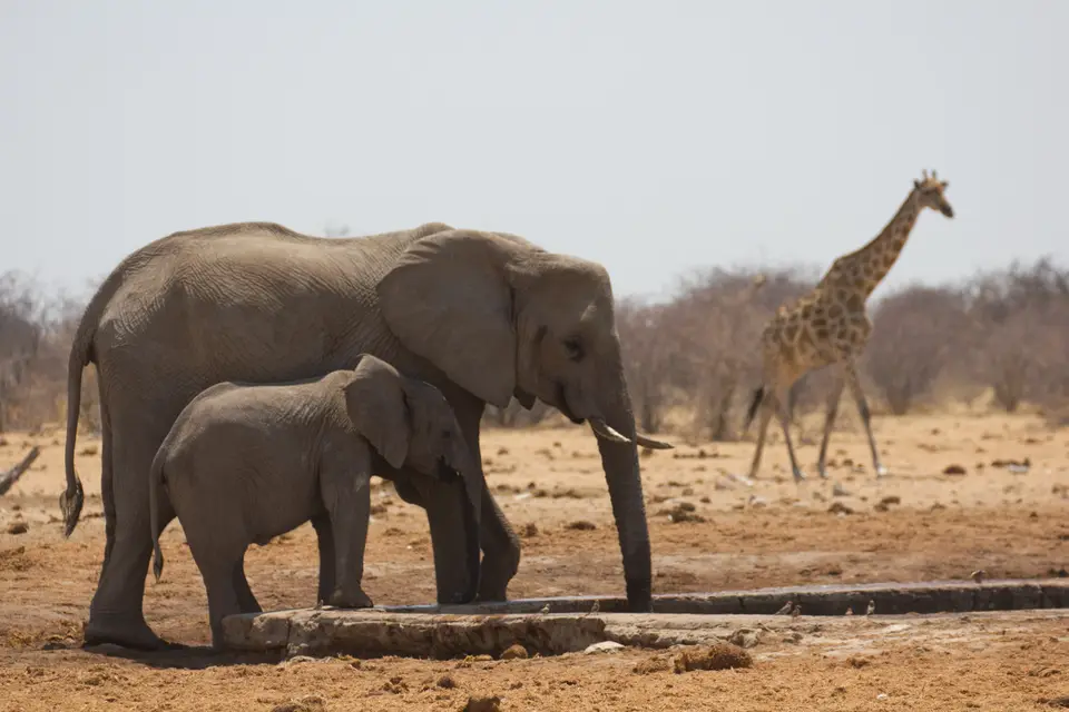 2016-Namibia-0356-2.jpg
