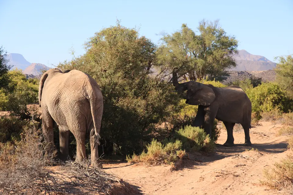 2016-Namibia-0431.jpg