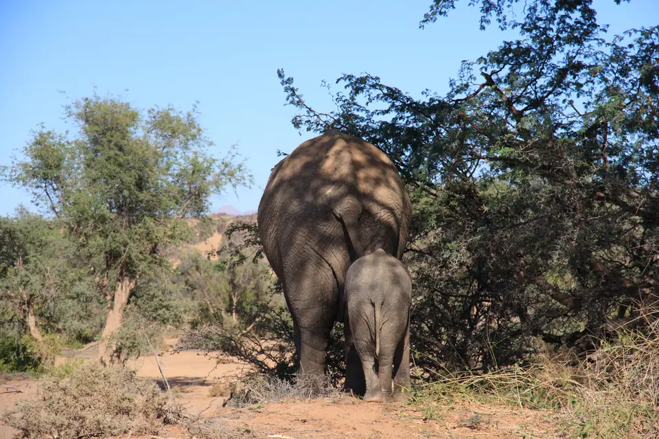 2016-Namibia-0437.jpg