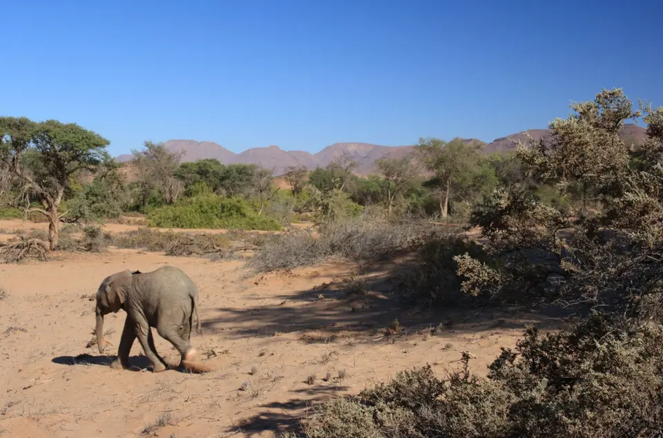 2016-Namibia-0456.jpg