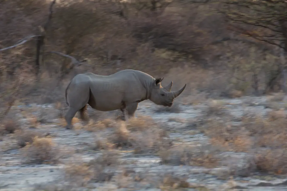 2016-Namibia-0461-2.jpg