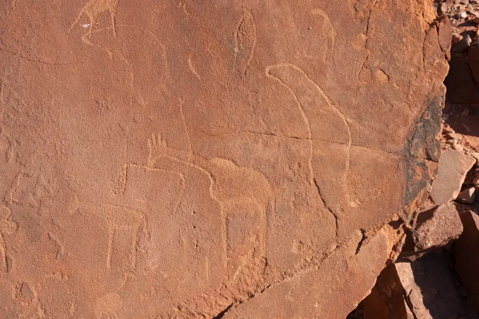 2016-Namibia-0501.jpg
