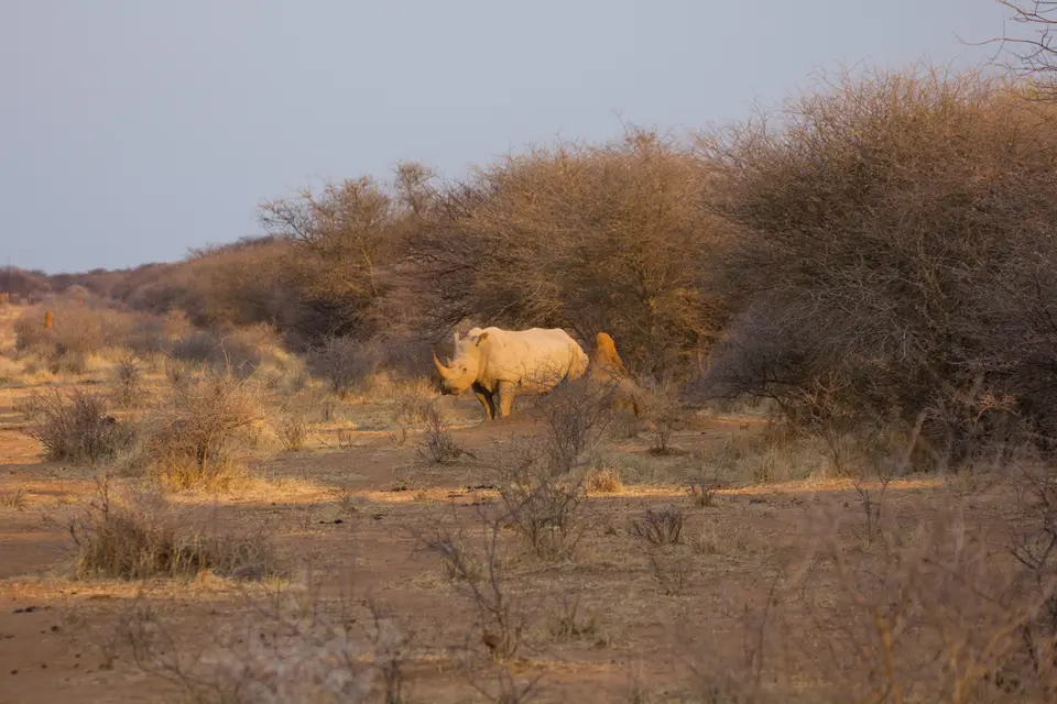 2016-Namibia-0507-2.jpg