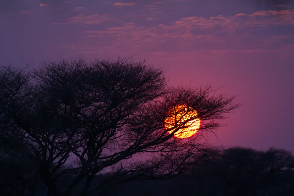 2016-Namibia-0516-2.jpg