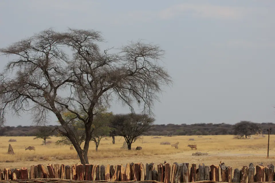 2016-Namibia-0539.jpg