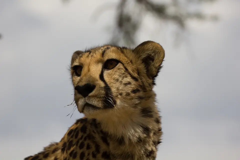 2016-Namibia-0583.jpg