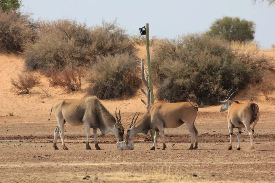 2016-Namibia-8910.jpg